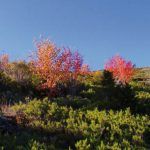 Enrique GarciÌa Bravo 8